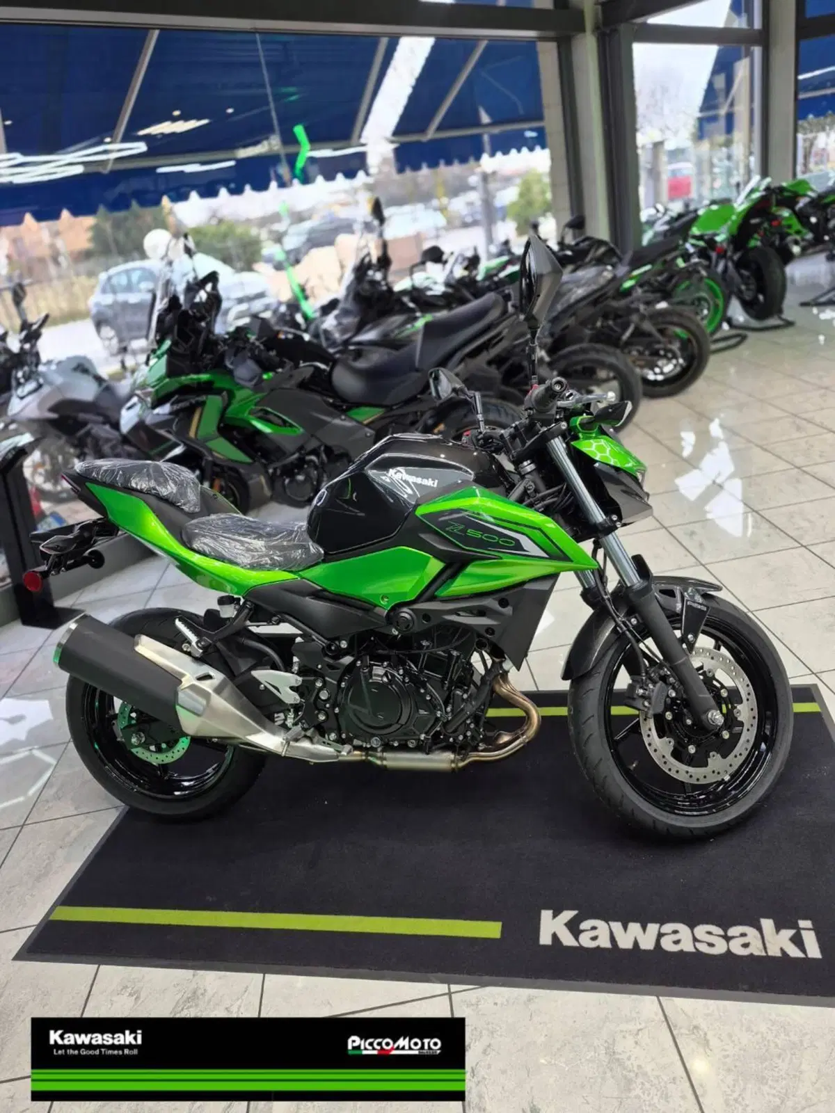 Kawasaki Z 500 (2024 - 26) (5)