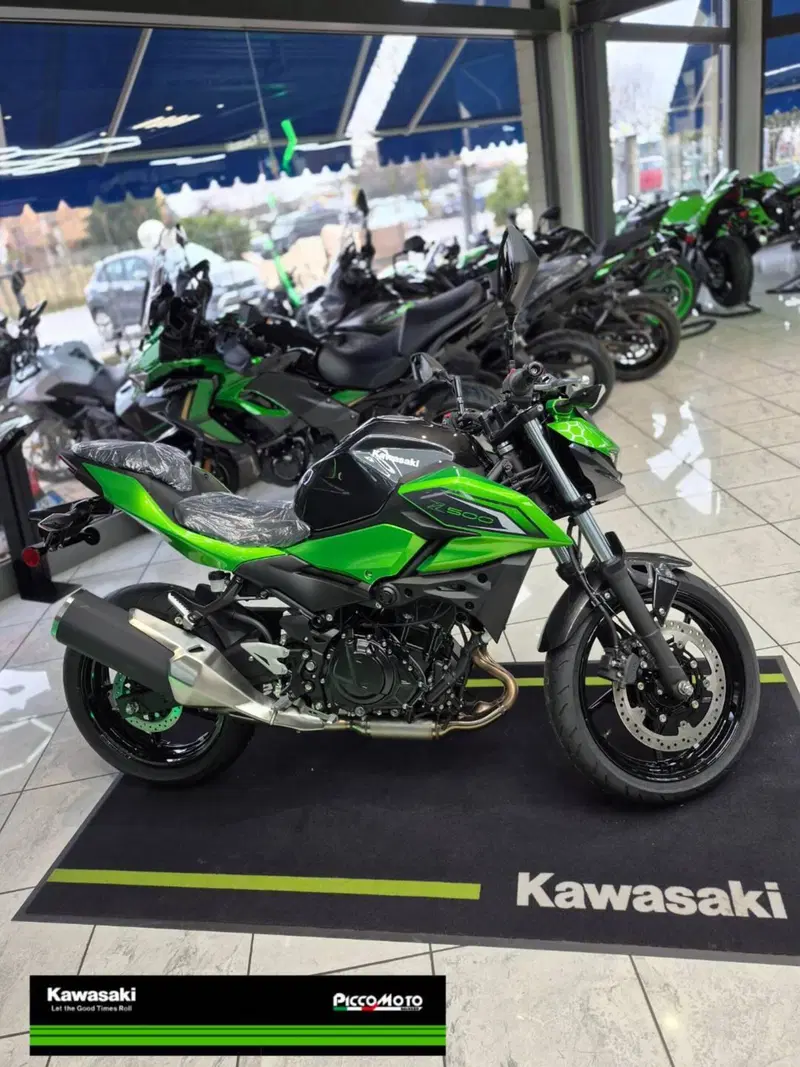 Kawasaki Z 500 (2024 - 26) (5)