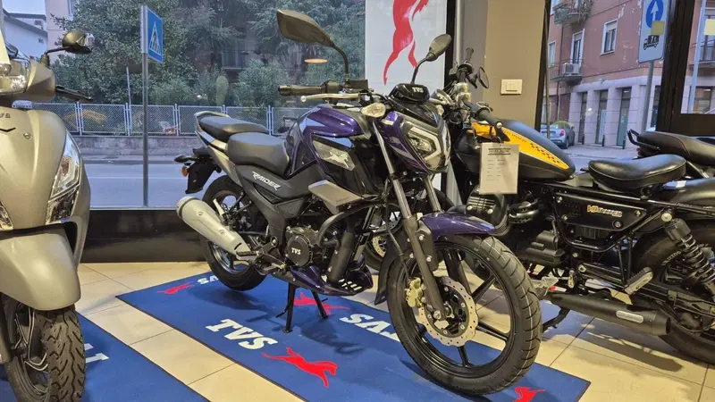 TVS Motor Raider 125 (2024 - 26) (3)
