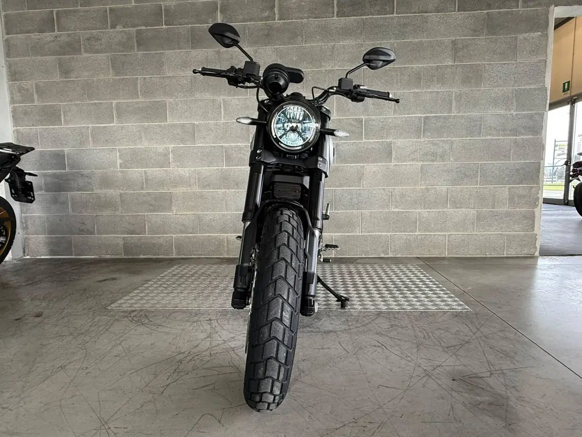 Ducati Scrambler 1100 (2018 - 20) (5)