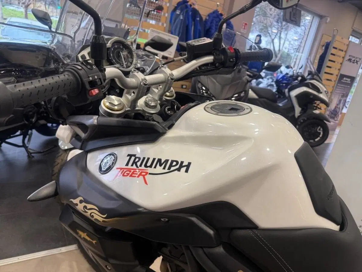 Triumph Tiger 800 XC (2015 - 17) (7)