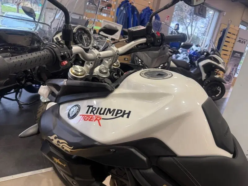 Triumph Tiger 800 XC (2015 - 17) (7)