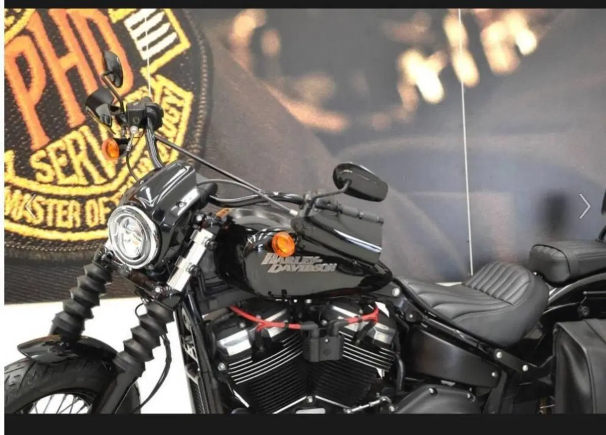 Harley-Davidson 107 Street Bob (2018 - 20) - FXBB (8)