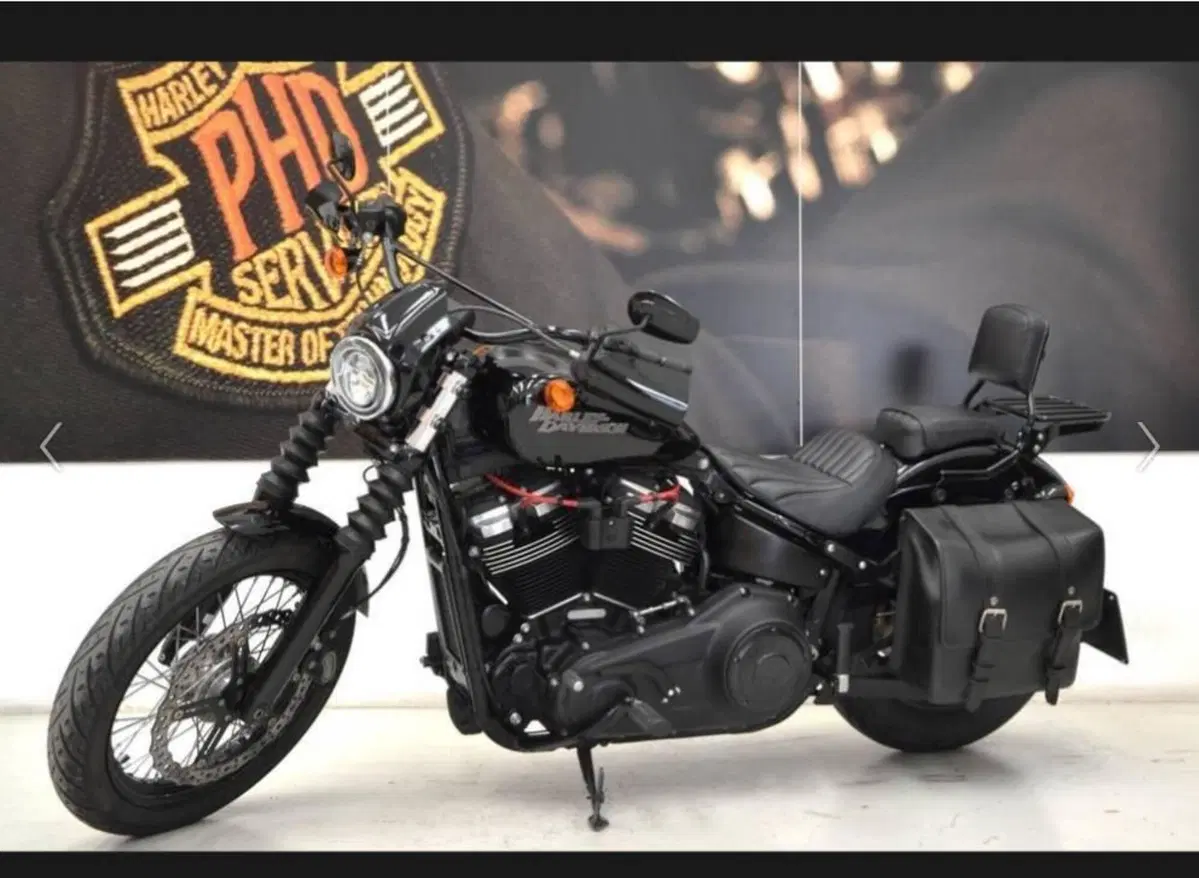 Harley-Davidson 107 Street Bob (2018 - 20) - FXBB (12)