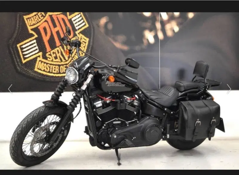 Harley-Davidson 107 Street Bob (2018 - 20) - FXBB (12)