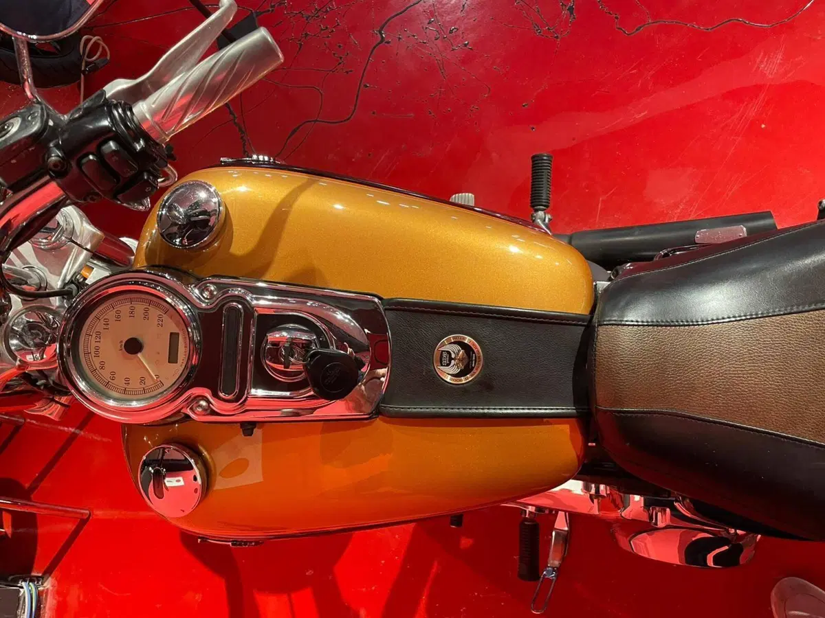 Harley-Davidson 1584 Wide Glide (2007 - 11) - FXDWG (4)