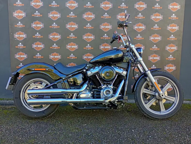Harley-Davidson Softail Standard (2021 - 25)