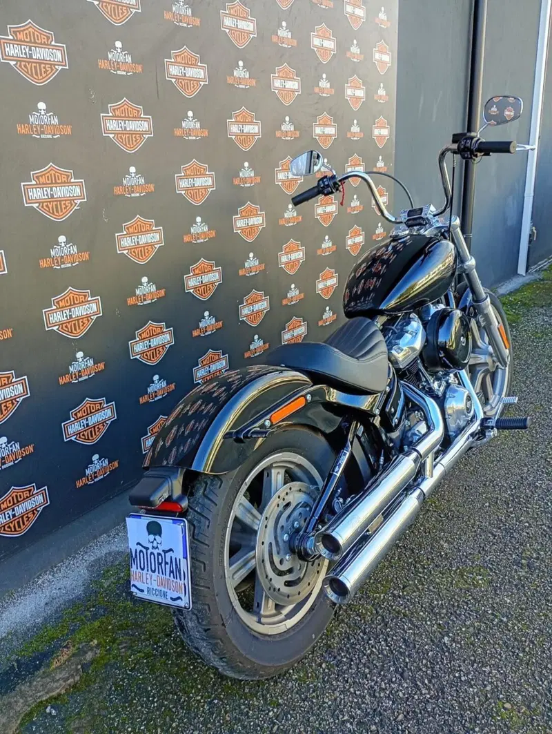 Harley-Davidson Softail Standard (2021 - 25) (3)