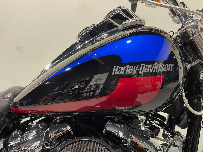Harley-Davidson 107 Low Rider (2018 - 20) - FXLR (11)