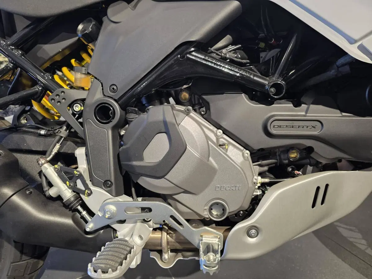 Ducati DesertX (2022 - 25) (7)