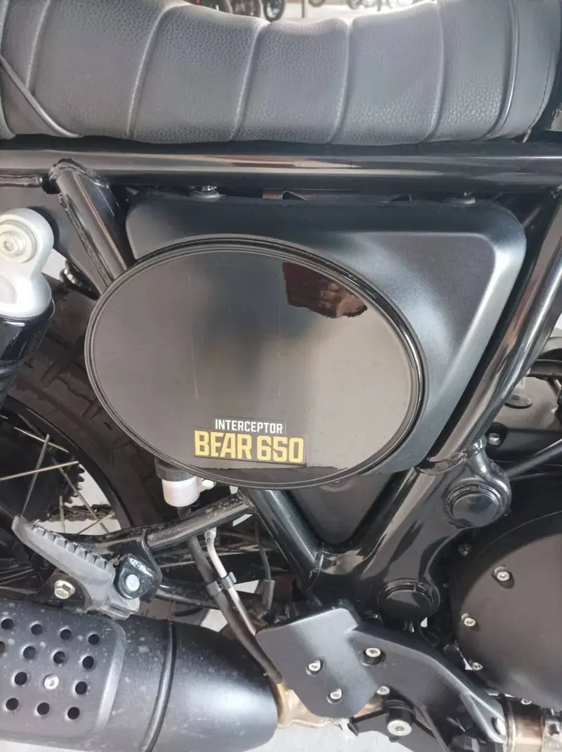 Royal Enfield Bear 650 (2025 - 26) (5)