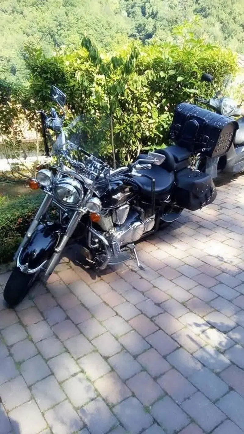 Kawasaki Vulcan VN 900 Classic (2006 - 10) (6)