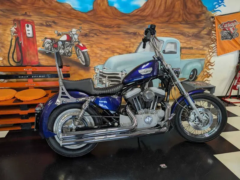Harley-Davidson 1200 Roadster (2002 - 05) - XL 1200R (2)