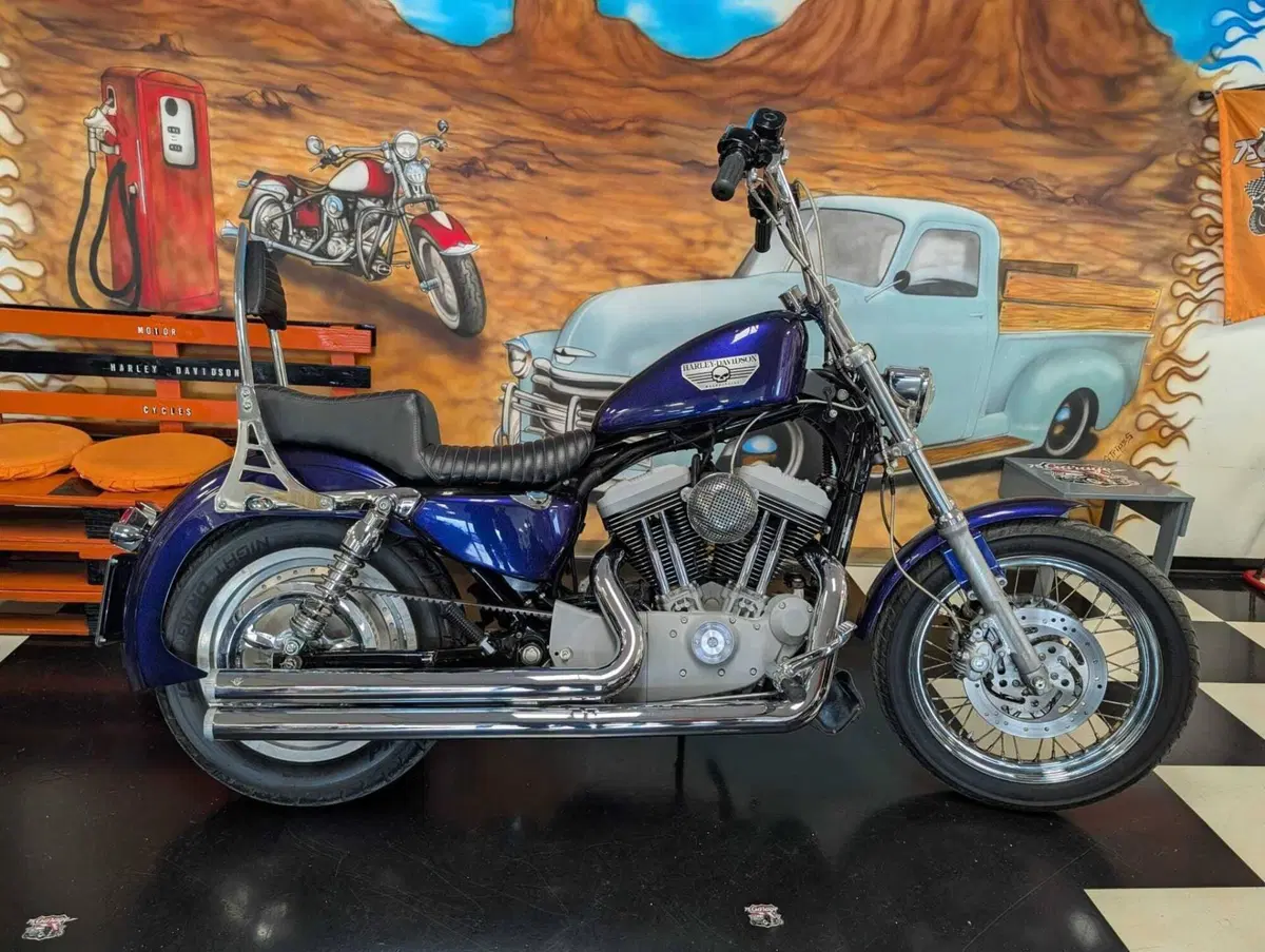 Harley-Davidson 1200 Roadster (2002 - 05) - XL 1200R