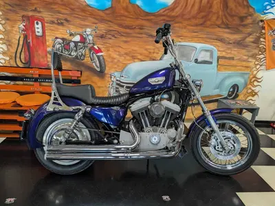 Harley-Davidson 1200 Roadster (2002 - 05) - XL 1200R usata