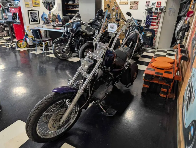 Harley-Davidson 1200 Roadster (2002 - 05) - XL 1200R (5)