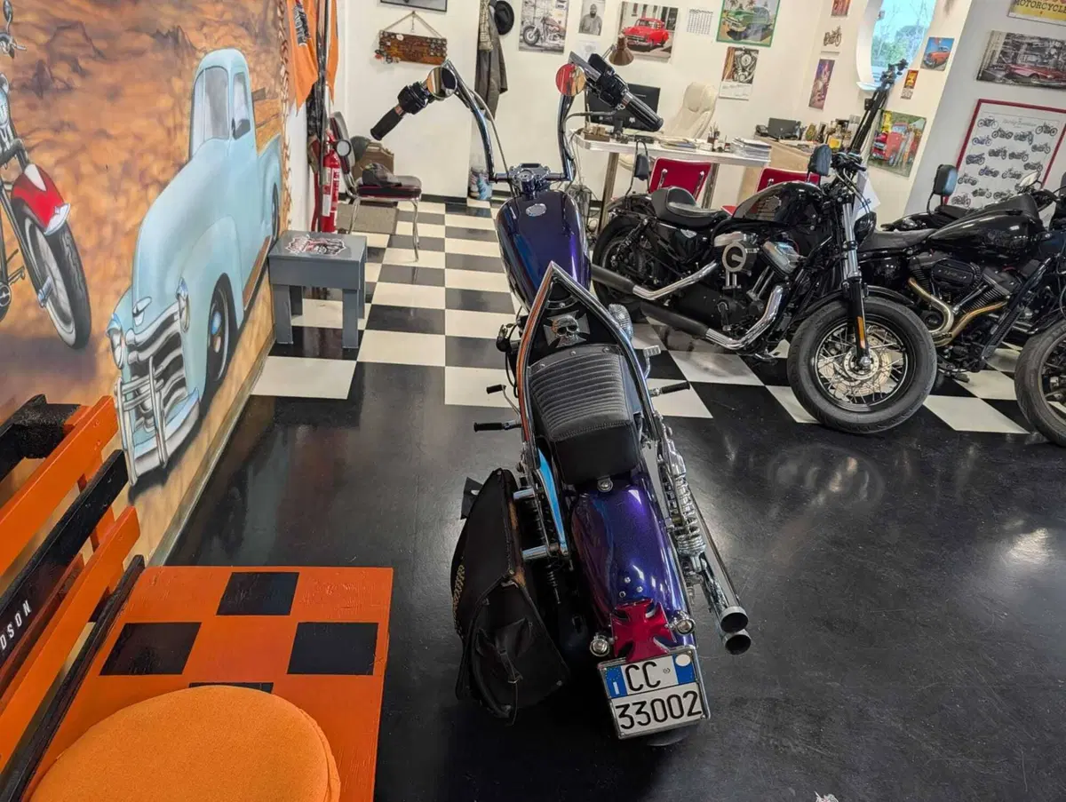 Harley-Davidson 1200 Roadster (2002 - 05) - XL 1200R (7)