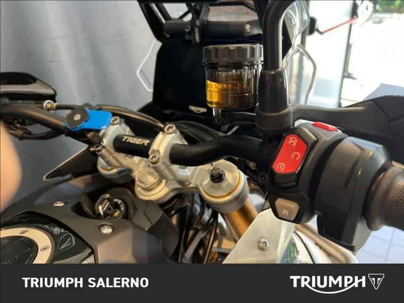 Triumph Tiger 900 Rally Pro (2020 - 23) (10)