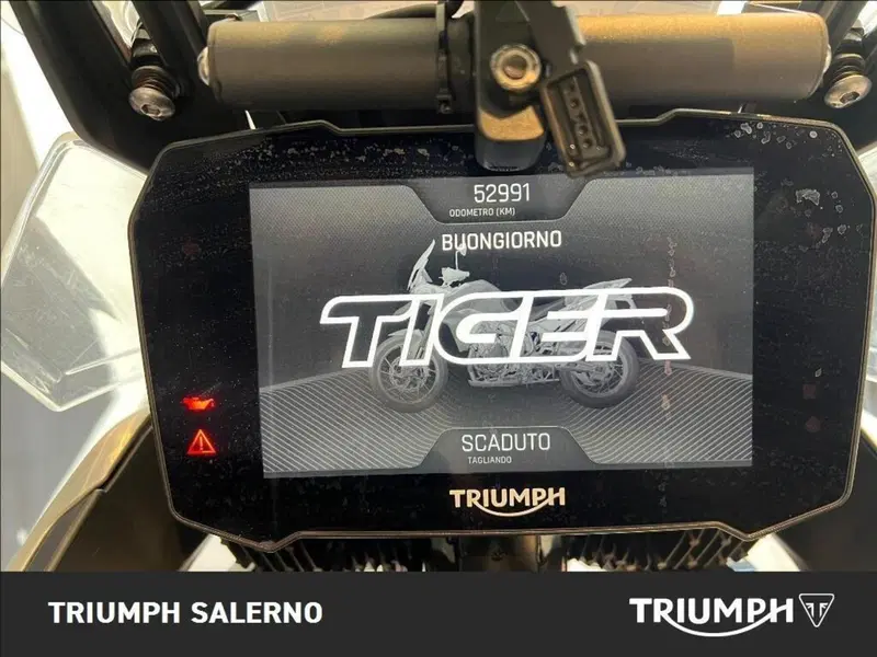 Triumph Tiger 900 Rally Pro (2020 - 23) (11)