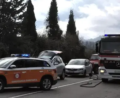 Motociclista perde la vita a causa di un cinghiale