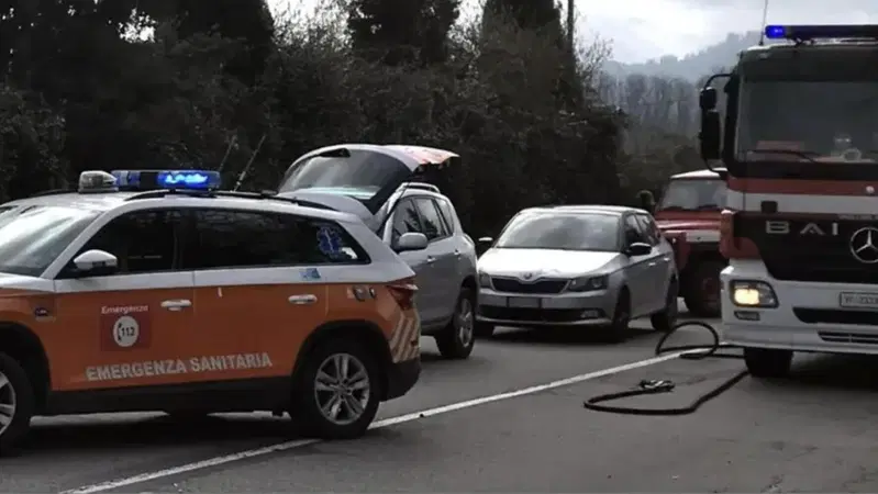 Motociclista perde la vita a causa di un cinghiale