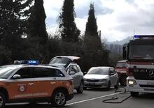 Motociclista perde la vita a causa di un cinghiale