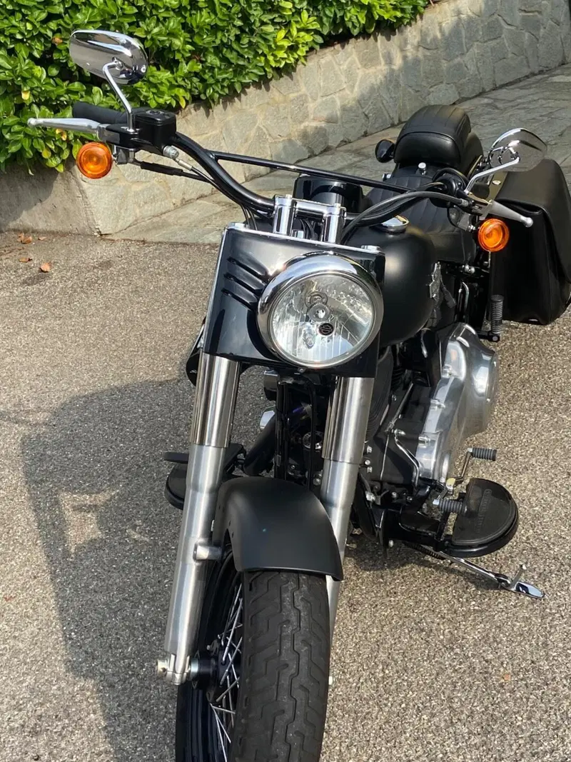 Harley-Davidson 1690 Slim (2011 - 16) - FLS (4)