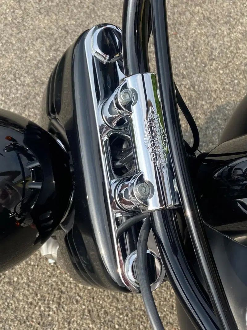 Harley-Davidson 1690 Slim (2011 - 16) - FLS (6)