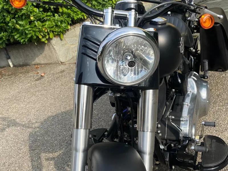 Harley-Davidson 1690 Slim (2011 - 16) - FLS (7)