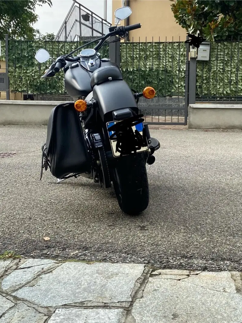 Harley-Davidson 1690 Slim (2011 - 16) - FLS (13)