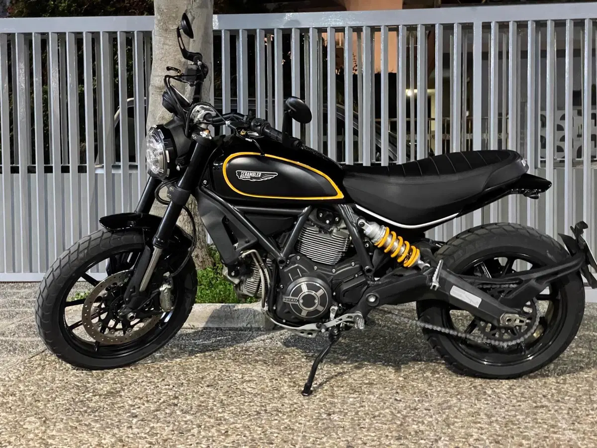 Ducati Scrambler 800 Icon (2015 - 16)