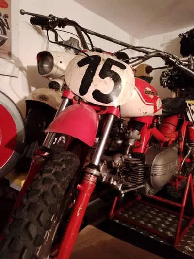 Aermacchi Harley-Davidson Cross Ala  Oro 250 ex Pasolini d'epoca