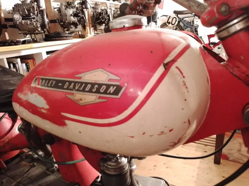 Aermacchi Harley-Davidson Cross Ala  Oro 250 ex Pasolini (5)