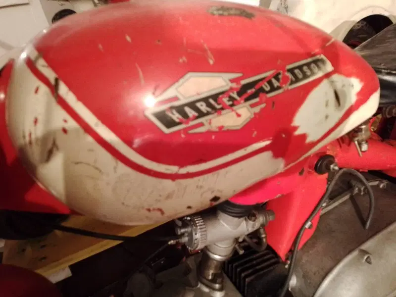 Aermacchi Harley-Davidson Cross Ala  Oro 250 ex Pasolini (6)