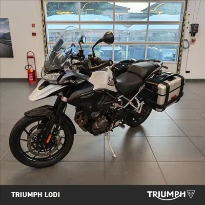 Triumph Tiger 1200 GT Pro (2024 - 26) usata