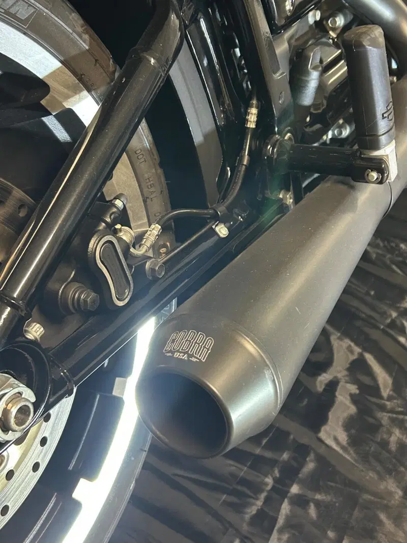 Harley-Davidson 114 Fat Boy (2018 - 20) - FLFBS (5)