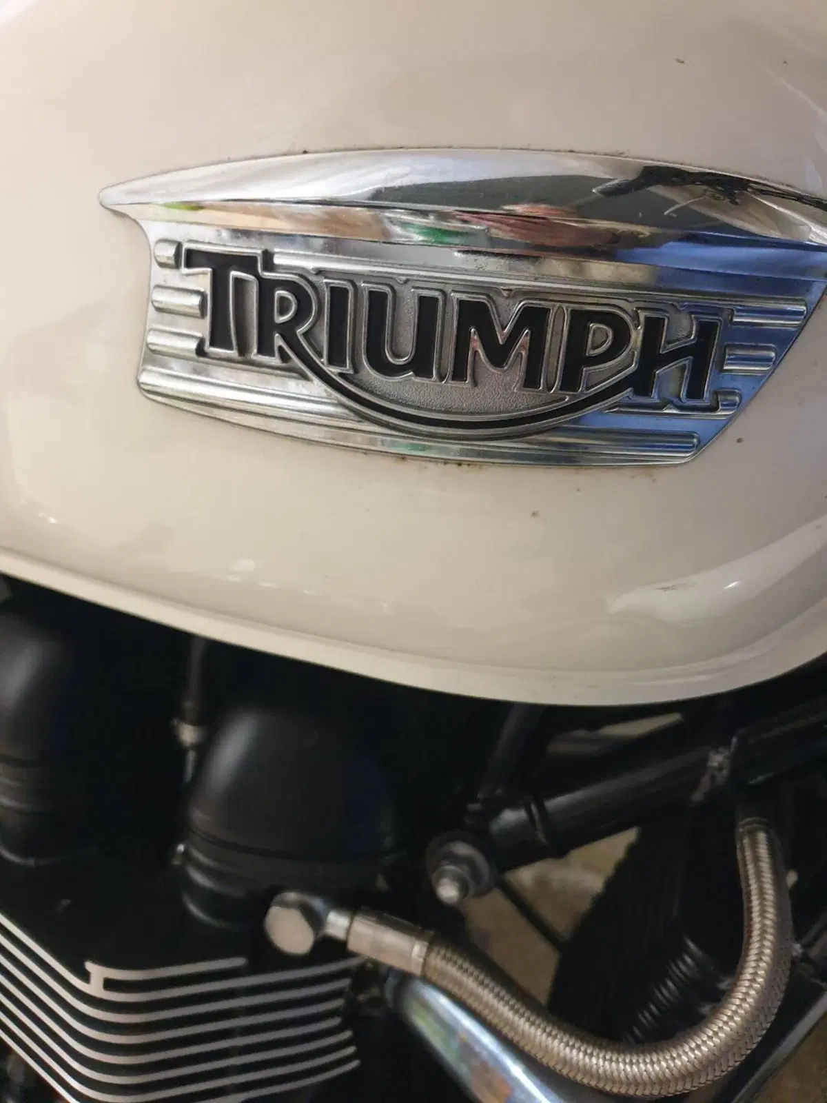 Triumph Bonneville (2007 - 16) (2)