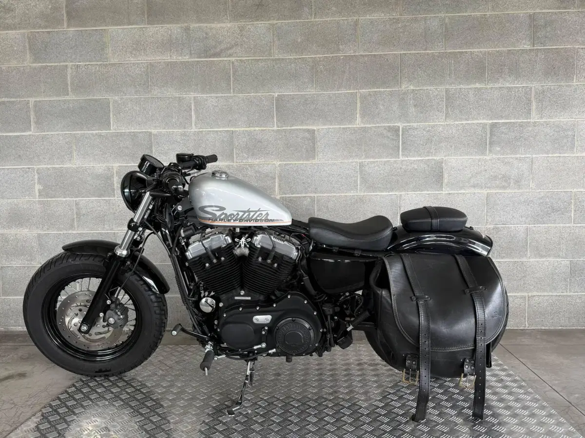 Harley-Davidson 1200 Forty-Eight (2010 - 15) (4)
