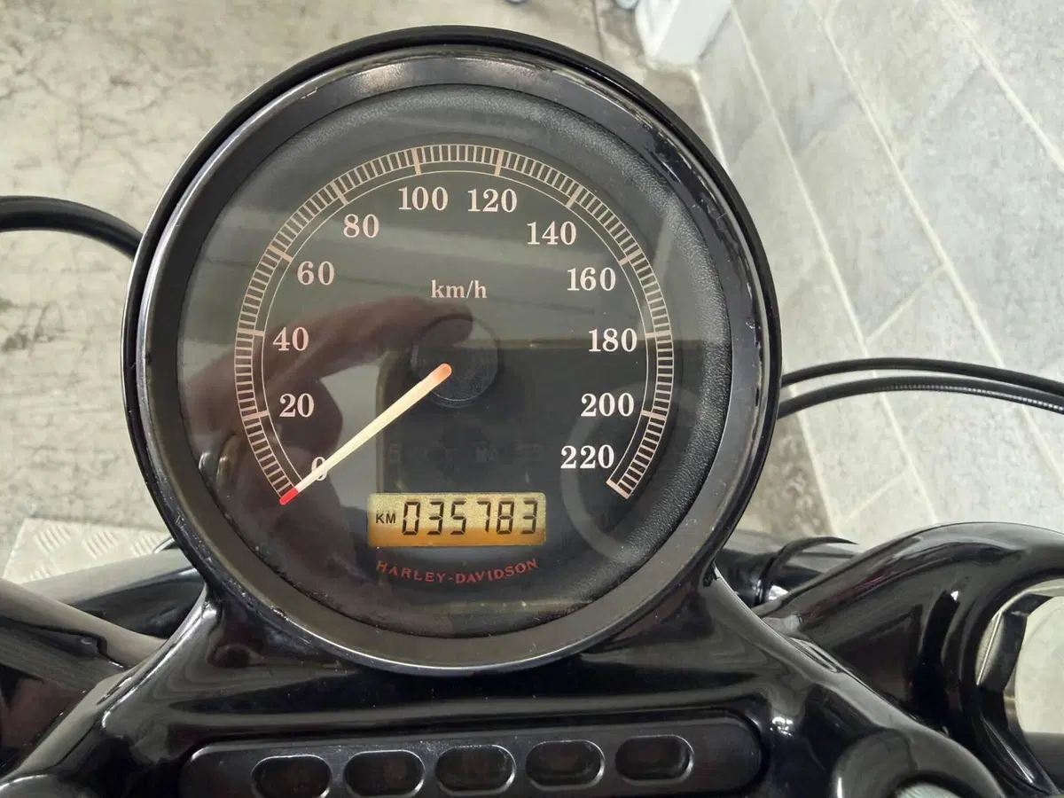 Harley-Davidson 1200 Forty-Eight (2010 - 15) (5)