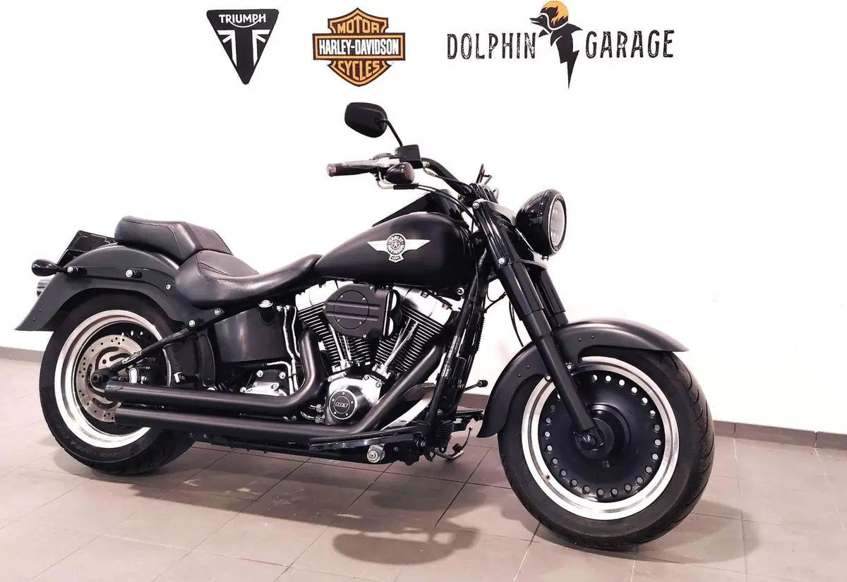 Harley-Davidson 1690 Fat Boy Special (2010 - 17) - FLSTF (3)