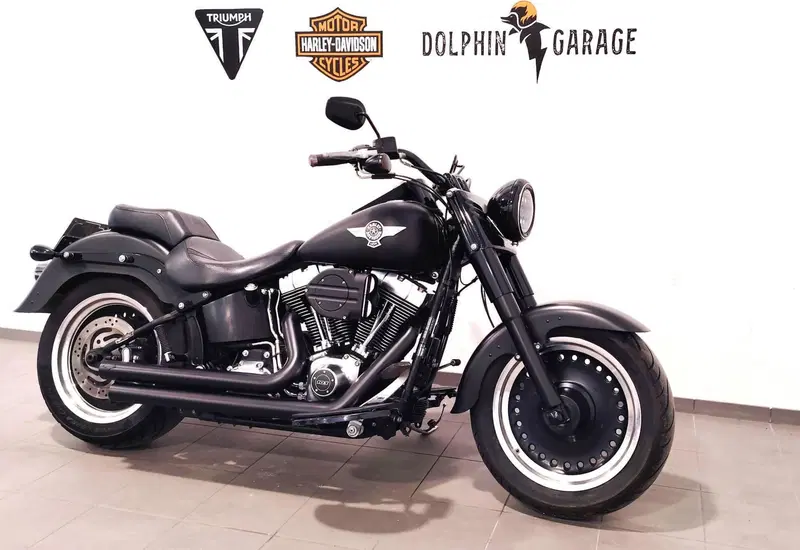 Harley-Davidson 1690 Fat Boy Special (2010 - 17) - FLSTF (3)