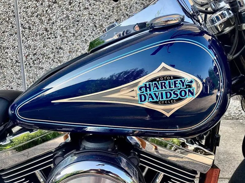 Harley-Davidson 1340 Heritage Classic (1984 - 98) - FLSTC (15)