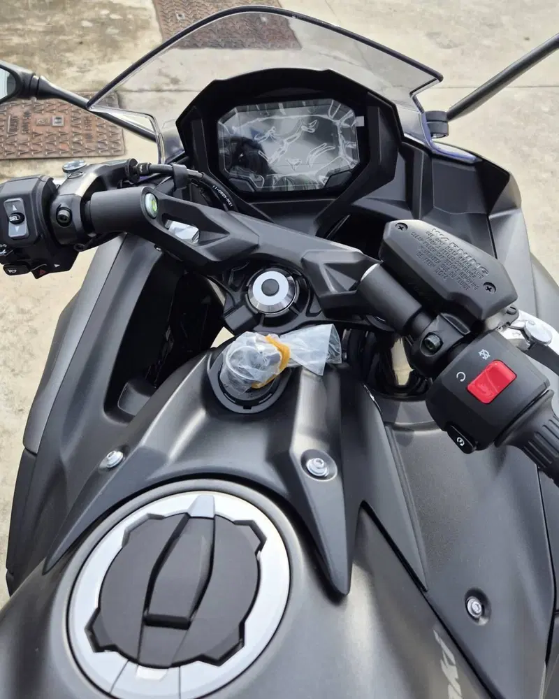 Kawasaki Ninja 650 (2025 - 26) (7)