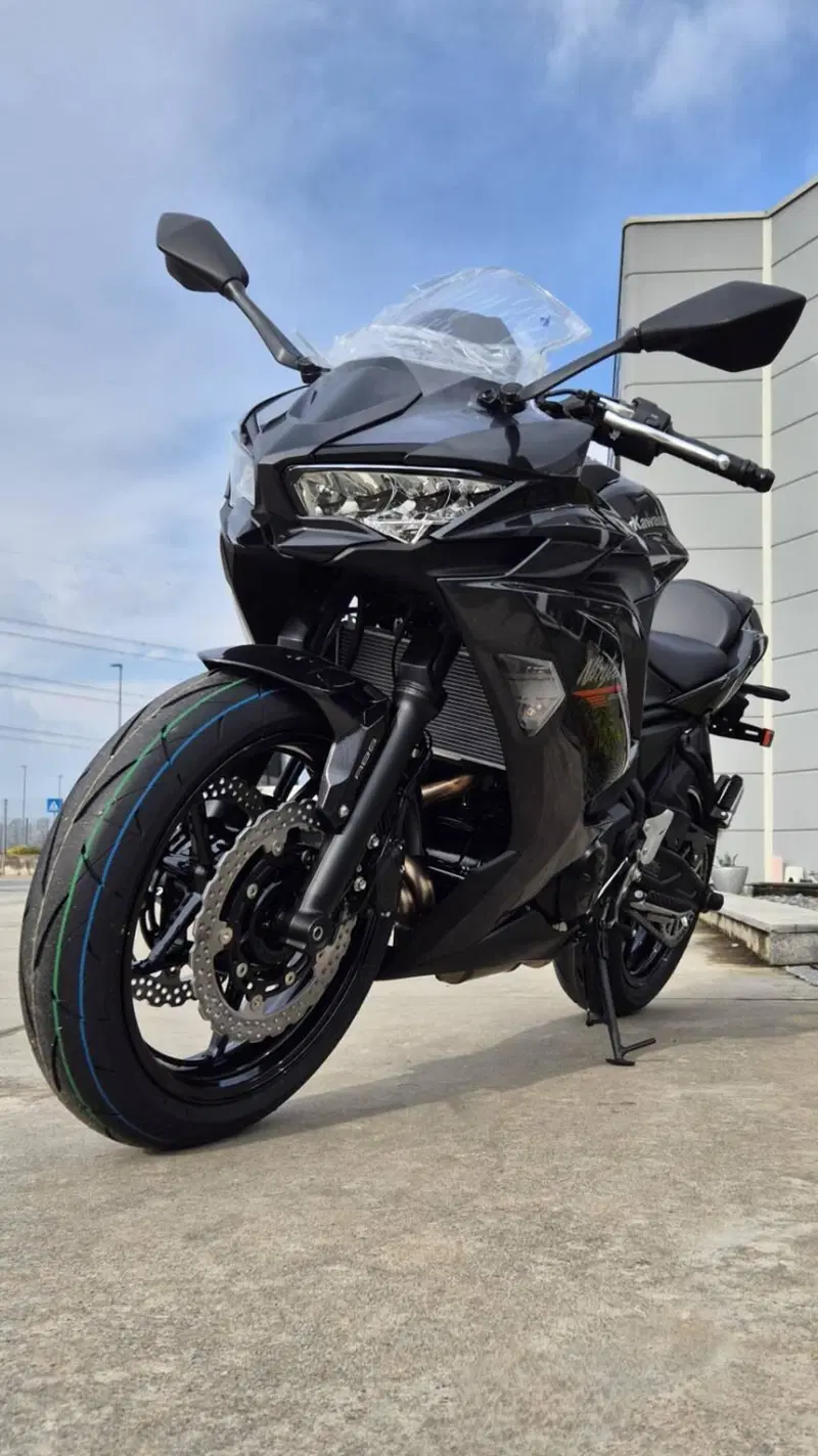 Kawasaki Ninja 650 (2025 - 26) (5)