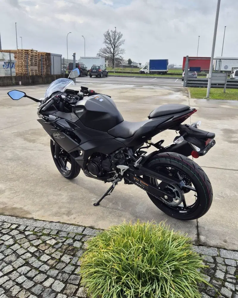 Kawasaki Ninja 500 (2024 - 26) (3)
