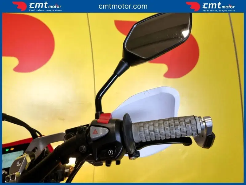 Honda CRF 300L (2021 - 24) (13)