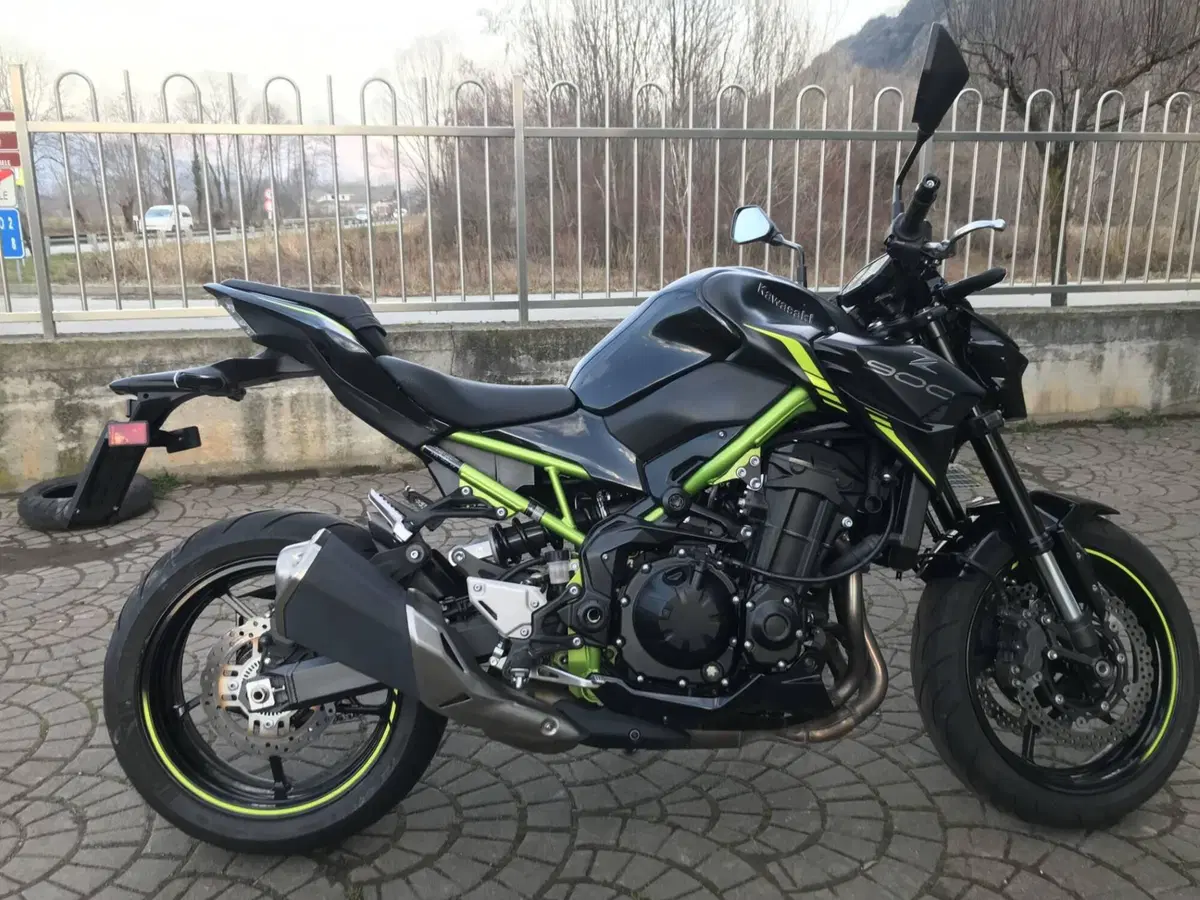 Kawasaki Z 900 (2021 - 24)