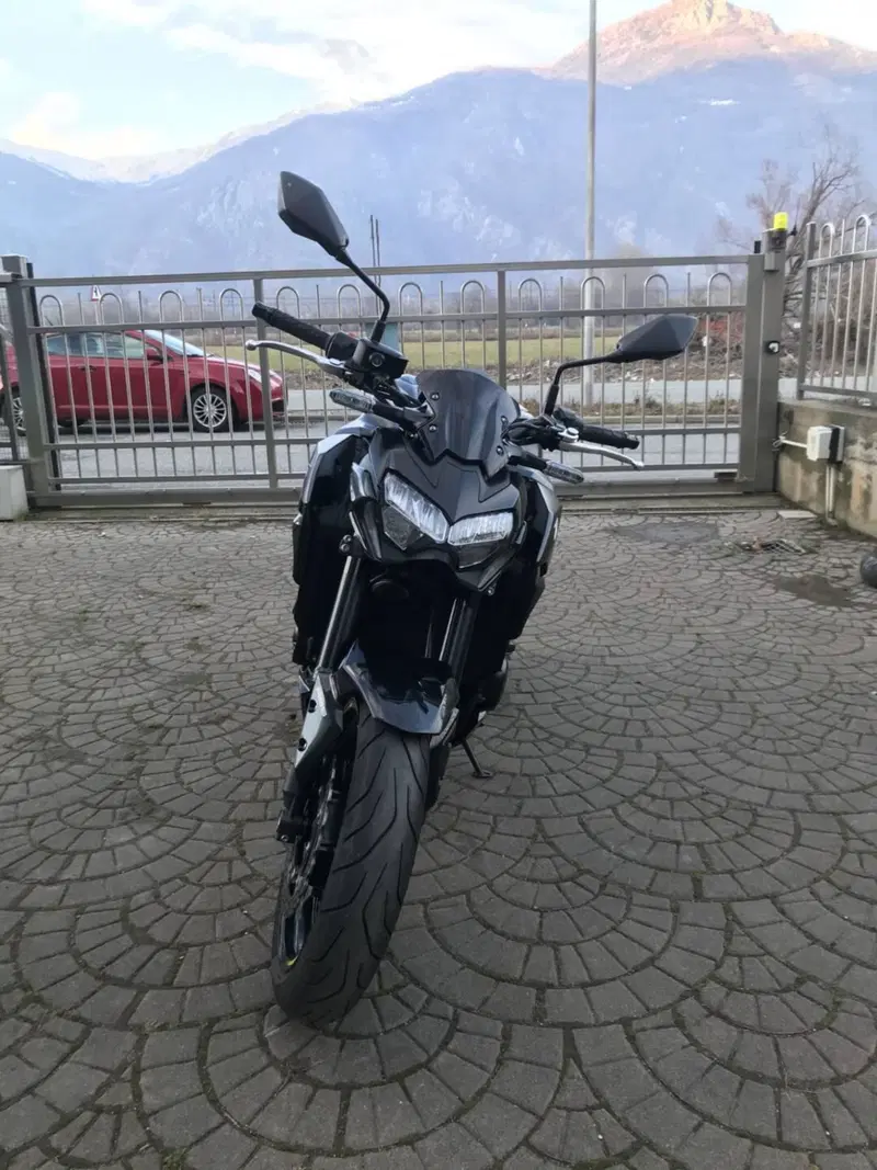 Kawasaki Z 900 (2021 - 24) (7)