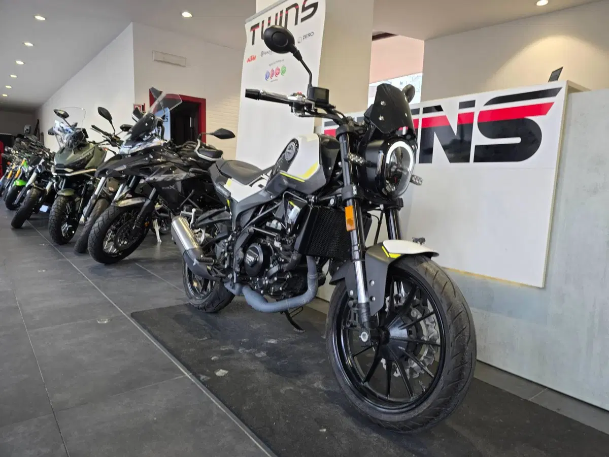 Benelli Leoncino 250 (2021 - 25) (2)