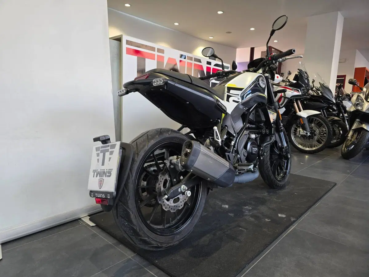 Benelli Leoncino 250 (2021 - 25) (8)